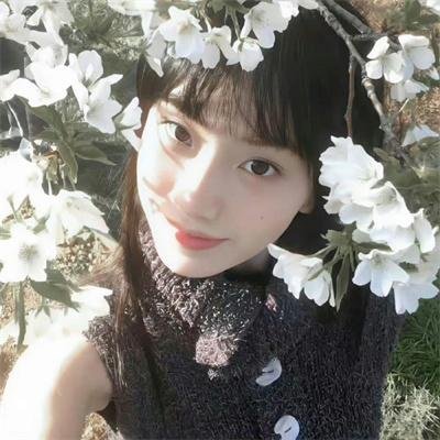 大树王子